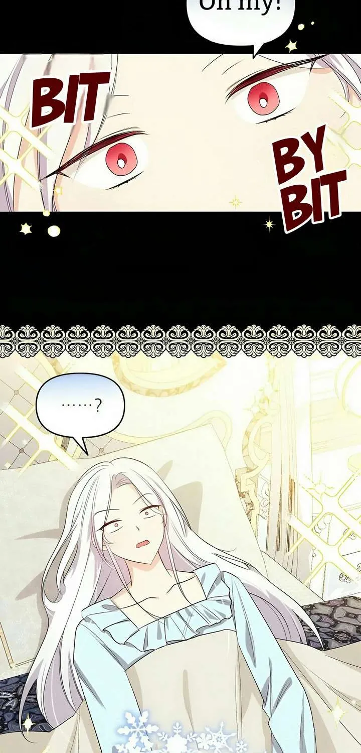 Grand Duke, I Can’t Do It Because It’s Too Cold in The North Chapter 1 page 24 - 