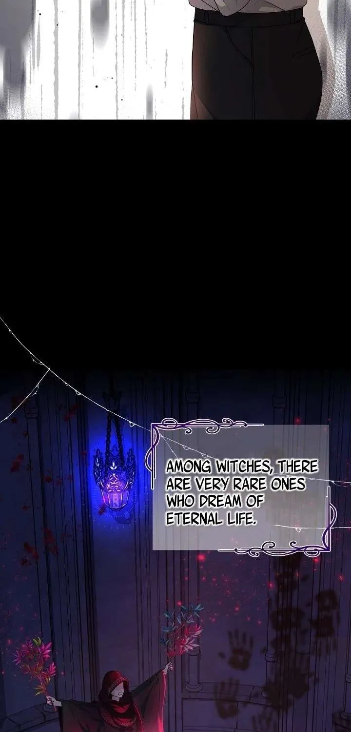 Grand Duke of the North Chapter 26 page 25 - 