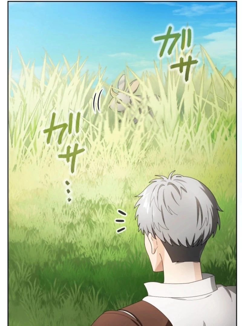 Gray Ash: The Dismissed Knight Begins Anew in the Dungeon City Chapter 6 page 5 - 