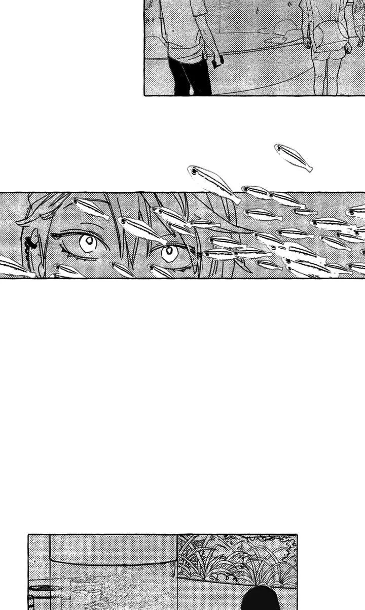 Groupie Sweetie Chapter 12 page 29 - 