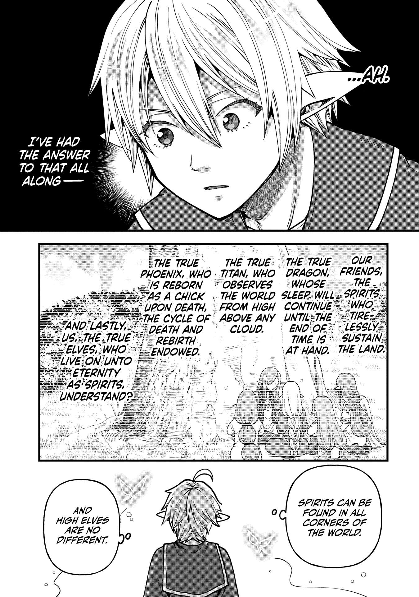 Growing Tired of the Lazy High Elf Life After 120 Years Chapter 29 page 29 - 