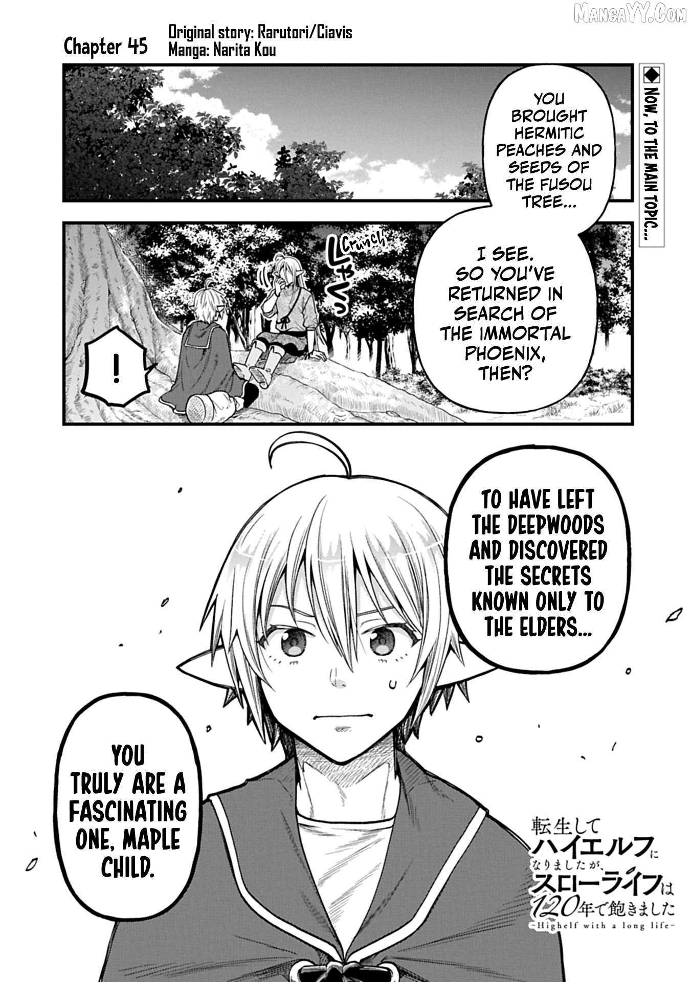 Growing Tired of the Lazy High Elf Life After 120 Years Chapter 45 page 3 - 
