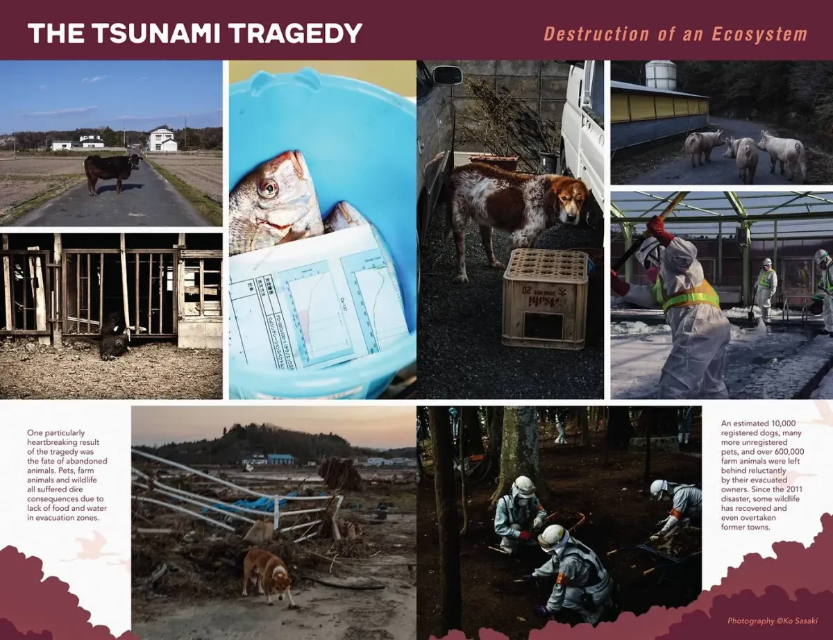 Guardian of Fukushima Chapter 4 page 24 - 