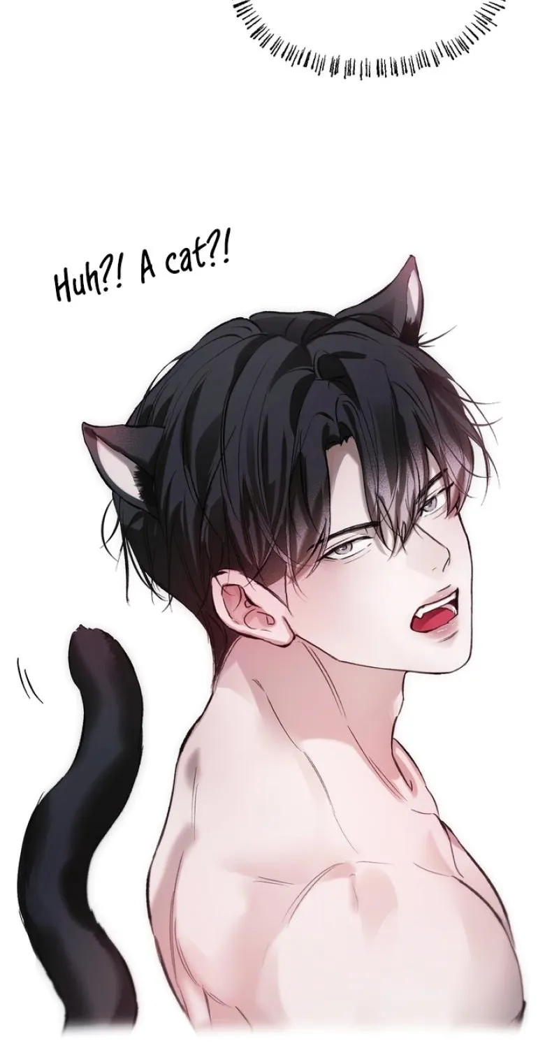 Guiding Me Crazy Chapter 7 page 45 - 