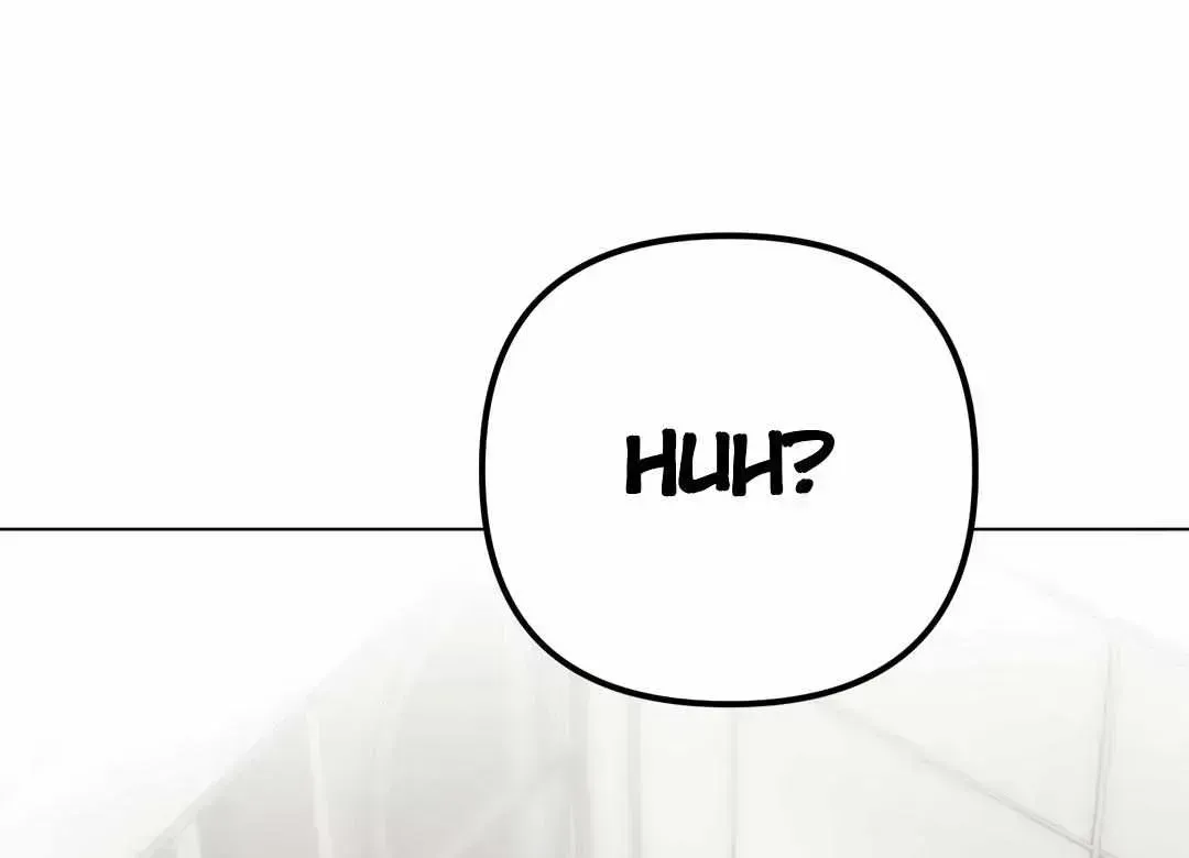 Guiding the illusion Chapter 1.3 page 110 - 