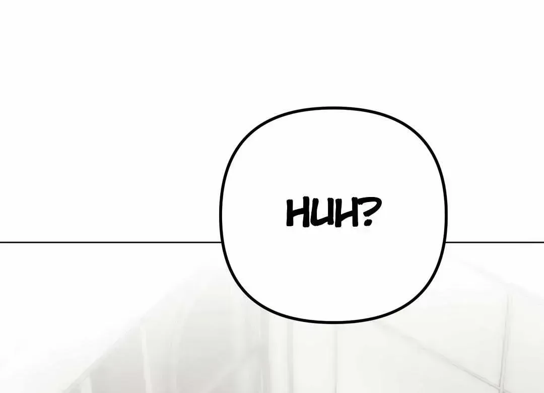 Guiding the illusion Chapter 1.4 page 110 - 