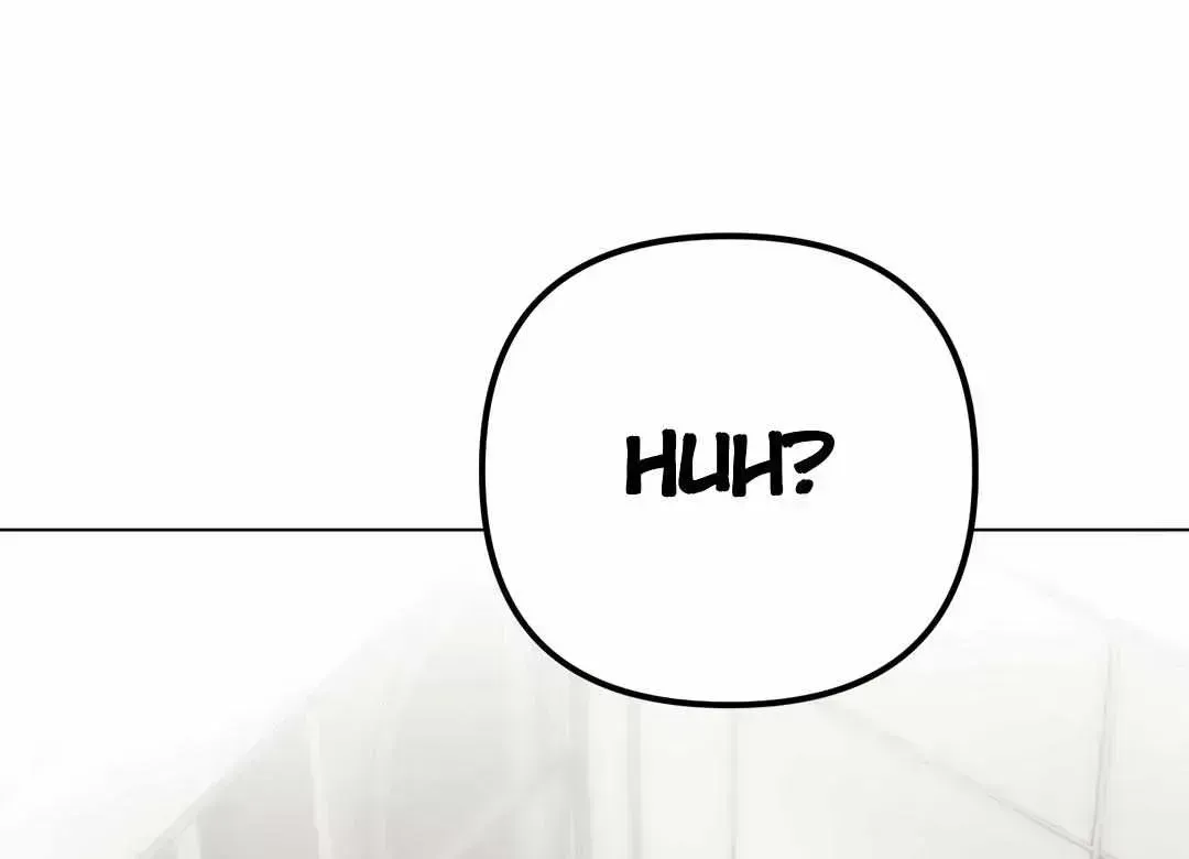 Guiding the illusion Chapter 1.6 page 110 - 