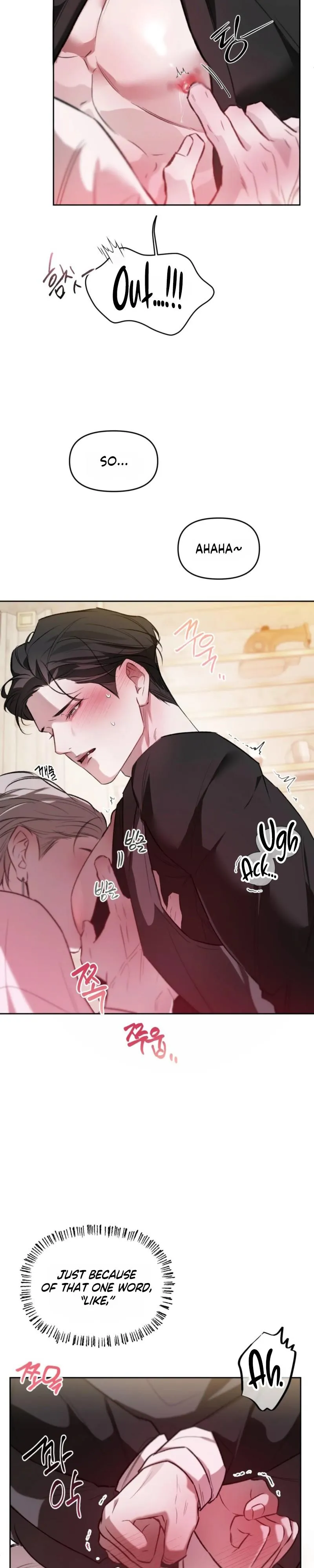 Guiding the illusion Chapter 17 page 14 - 