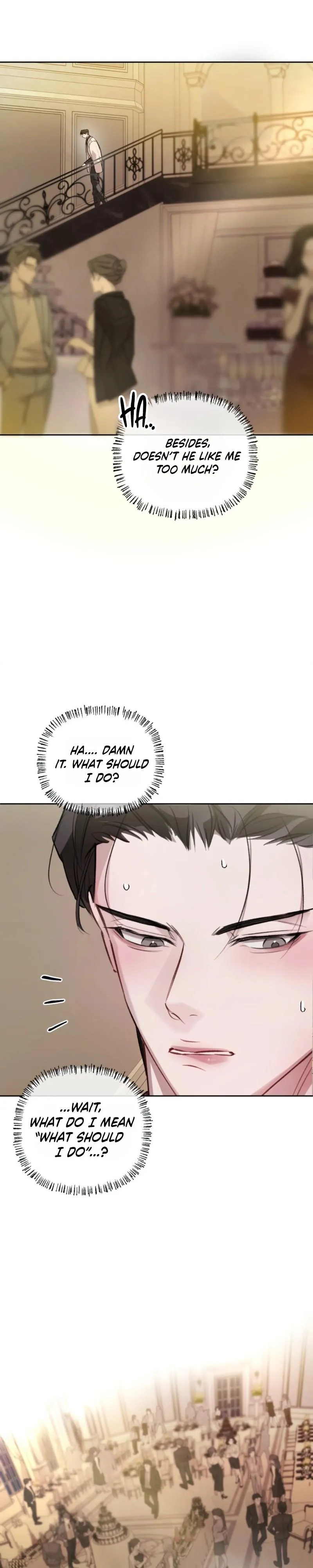 Guiding the illusion Chapter 17 page 29 - 