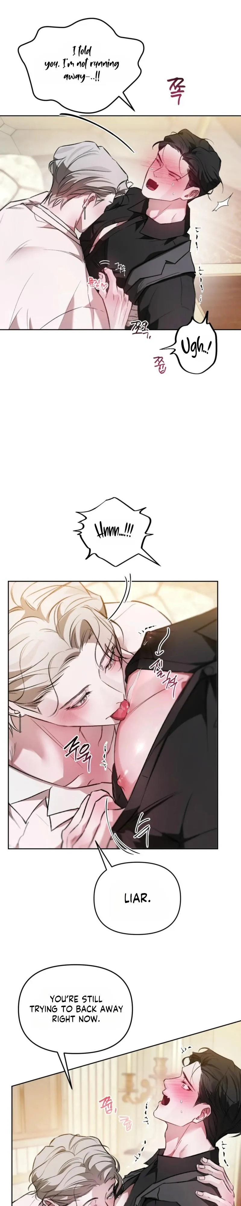 Guiding the illusion Chapter 17 page 10 - 