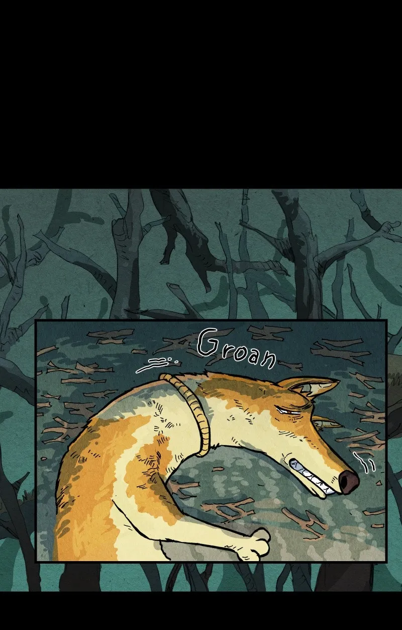 Gul Chapter 101 page 41 - 