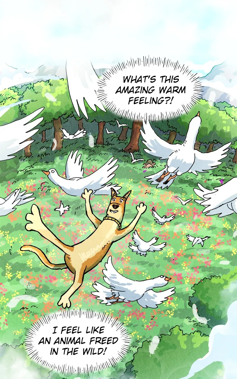 Gul Chapter 122 page 31 - 