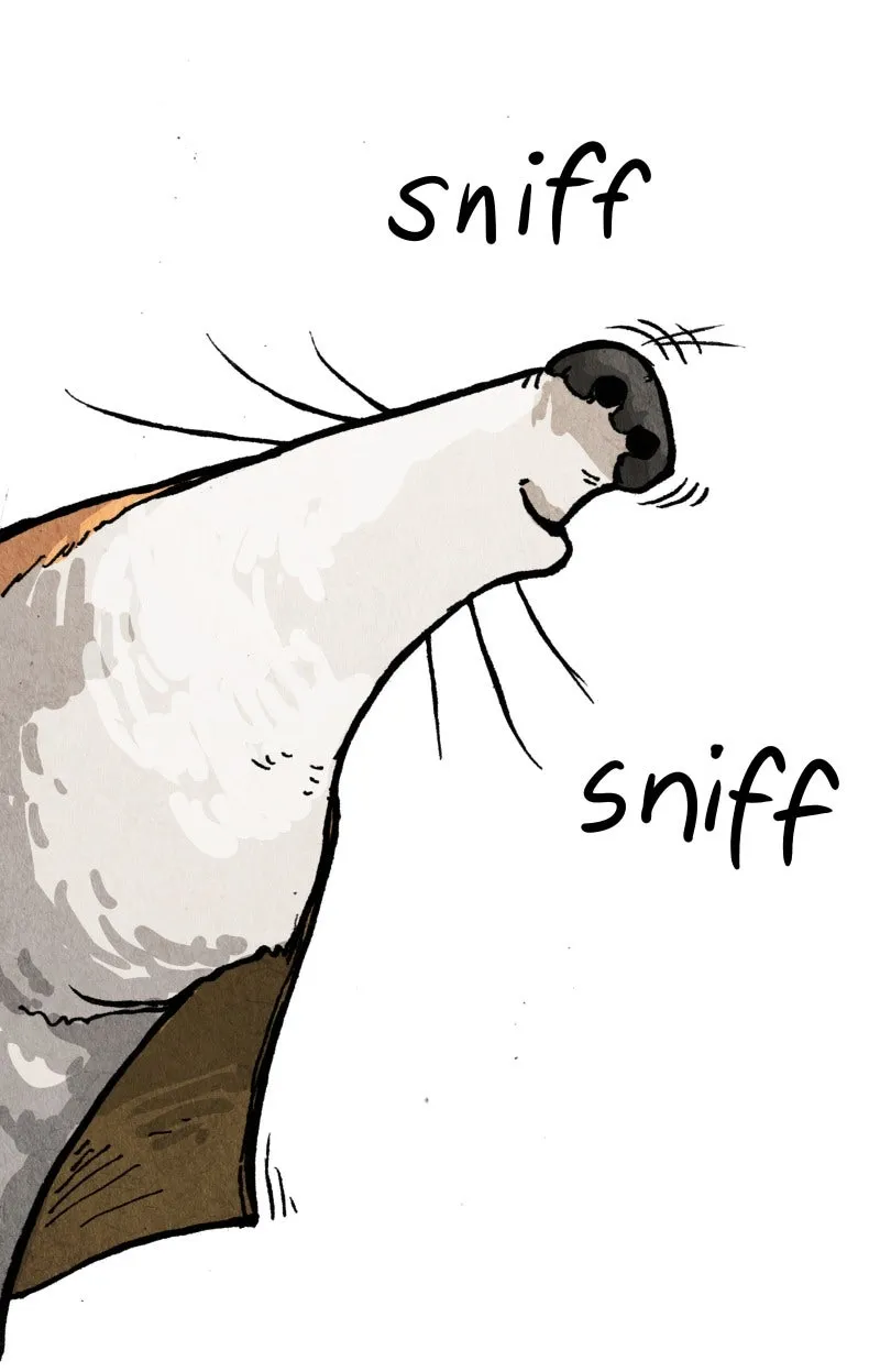 Gul Chapter 84 page 61 - 