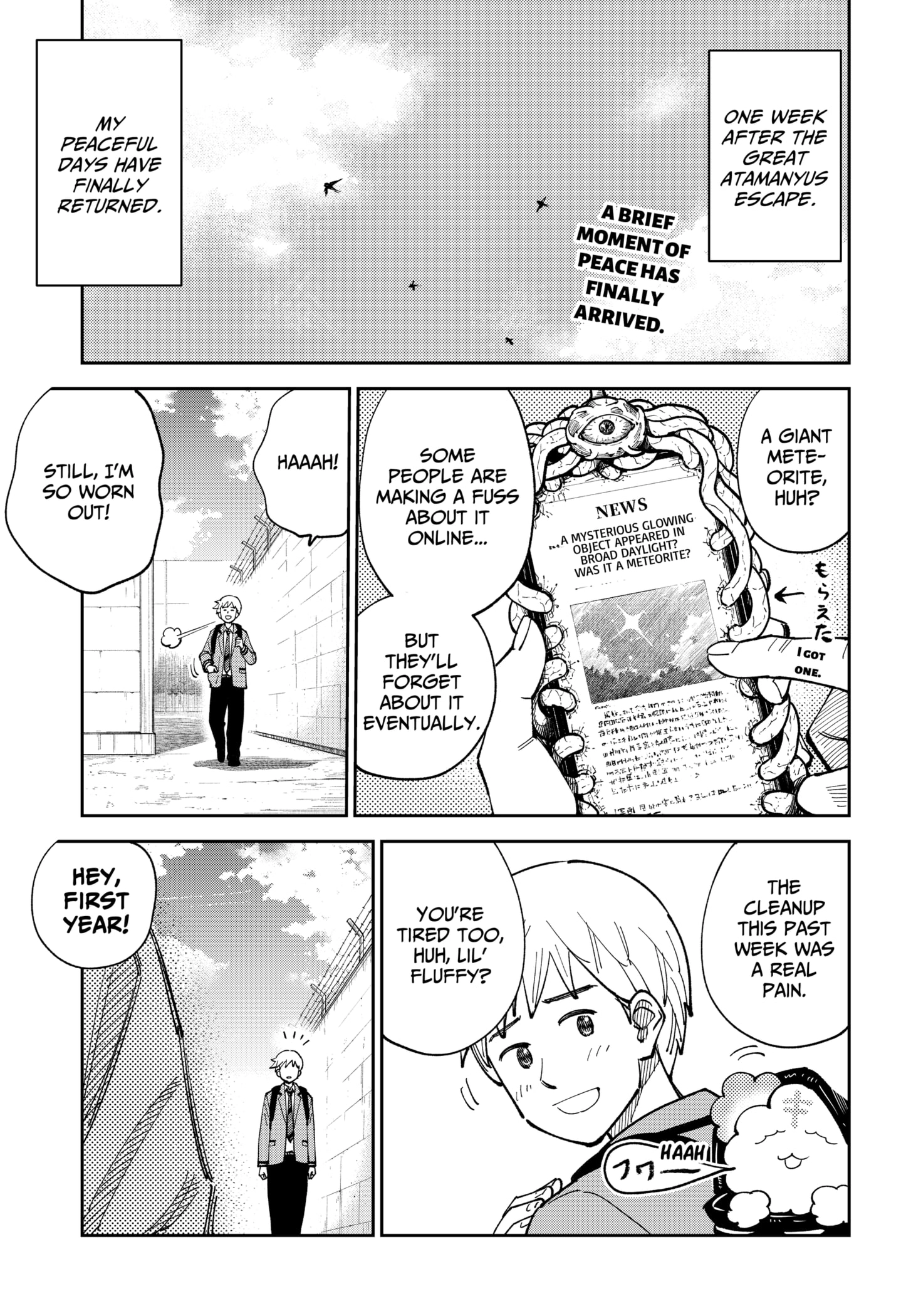 Gunze Arabaki