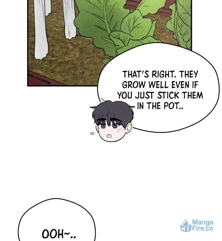 Gwijjal Romance Chapter 42 page 12 - 