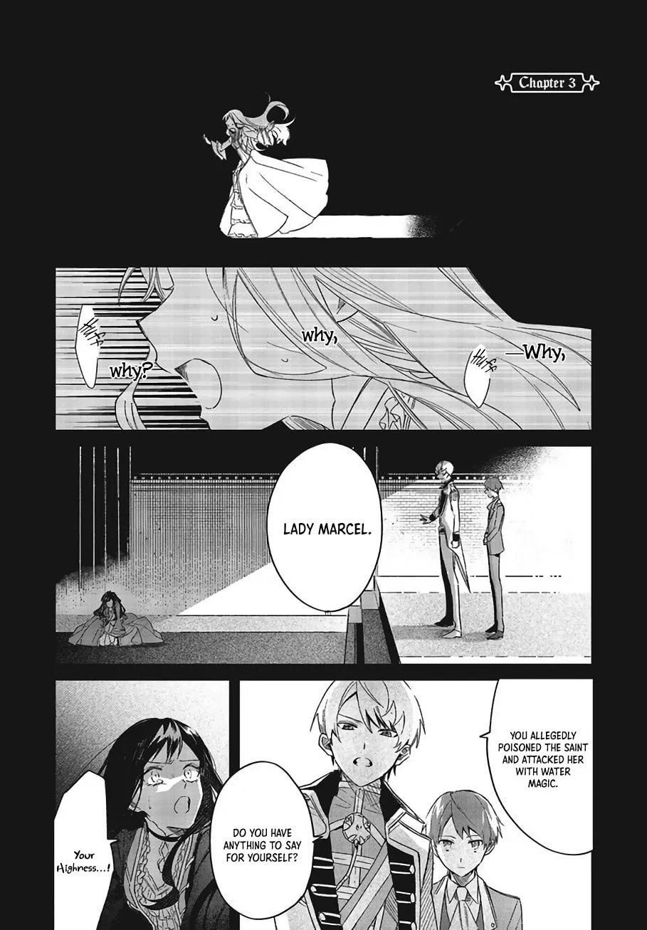 Gyakkou Shita Akuyaku Reijou wa, Naze ka Maryoku wo Ushinattanode Shinsou no Reijou ni Narimasu Chapter 3 page 2 - 