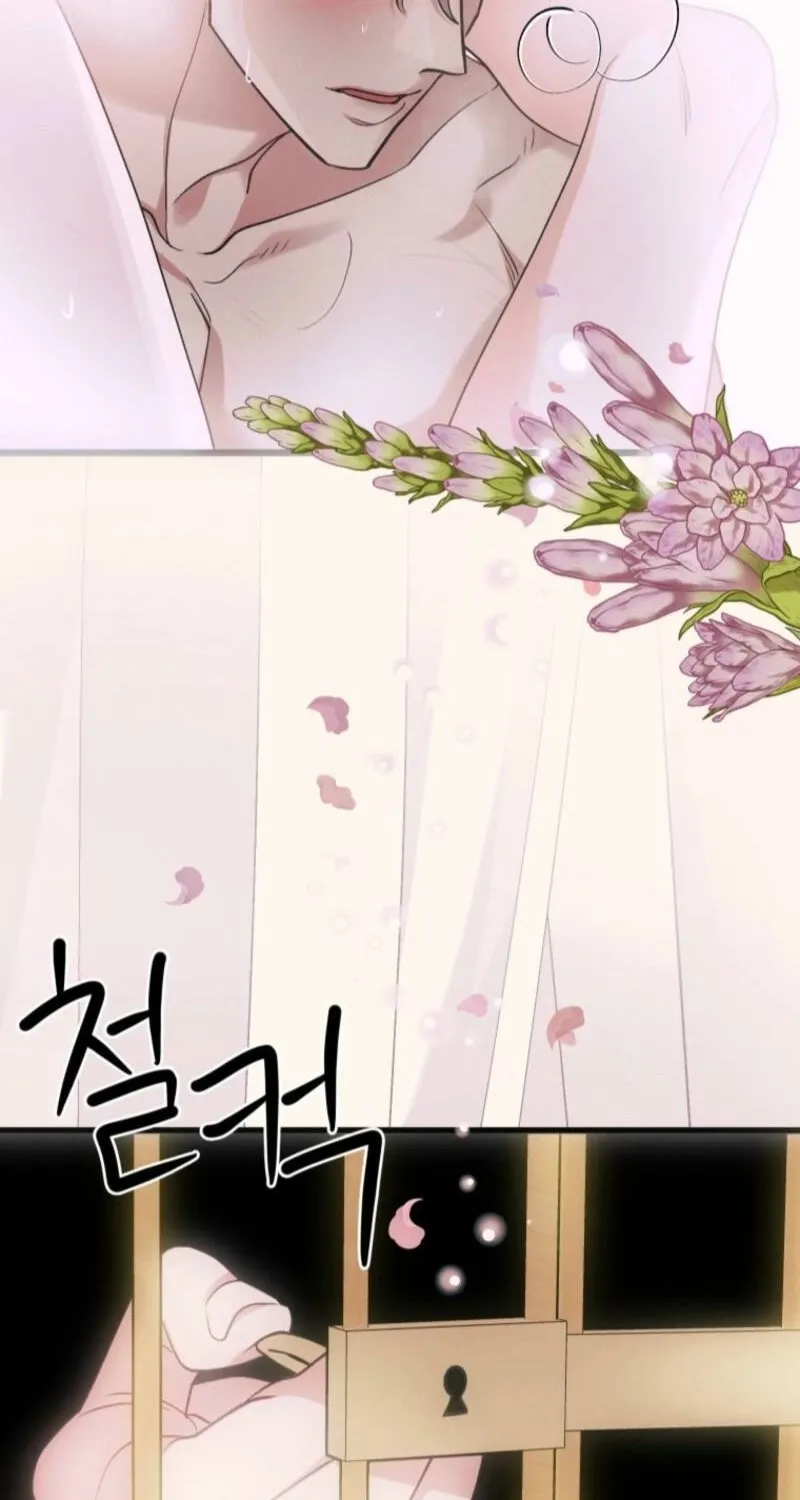 Gyeongseong Lingerie Dressing Room Chapter 11 page 19 - 