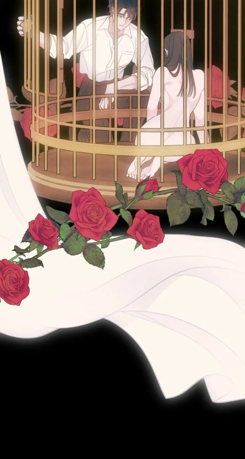 Gyeongseong Lingerie Dressing Room Chapter 11 page 21 - 