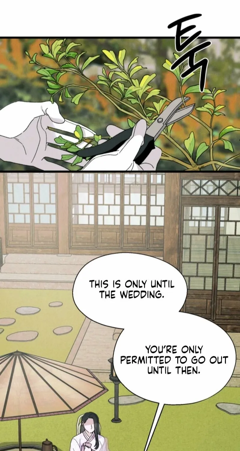 Gyeongseong Lingerie Dressing Room Chapter 5 page 45 - 