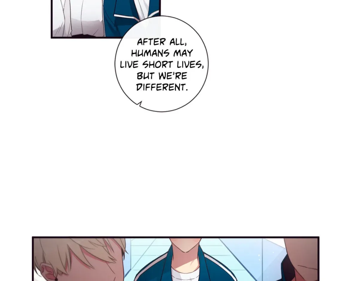 H&H Roman Company Chapter 1.4 page 38 - 