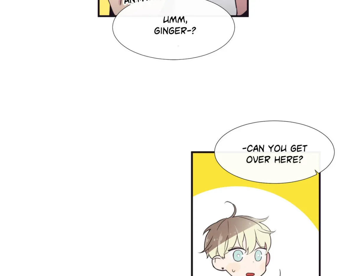 H&H Roman Company Chapter 2.1 page 30 - 