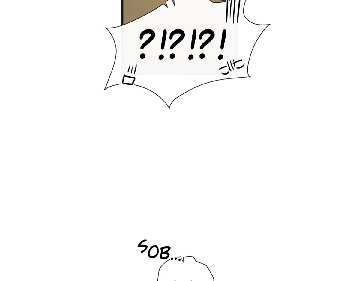 H&H Roman Company Chapter 2.2 page 70 - 