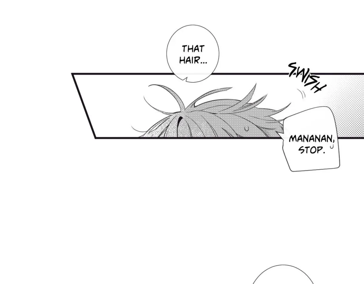 H&H Roman Company Chapter 2.3 page 2 - 