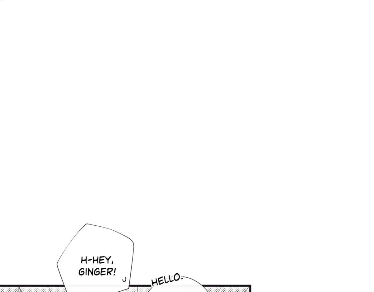 H&H Roman Company Chapter 2.3 page 32 - 