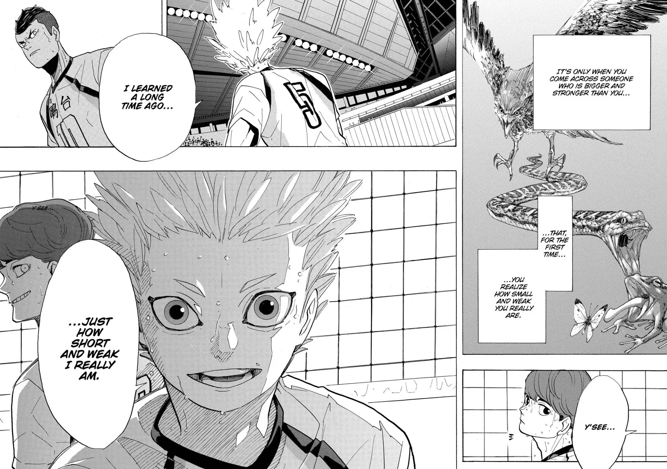 Haikyu!! Chapter 343 page 37 - 
