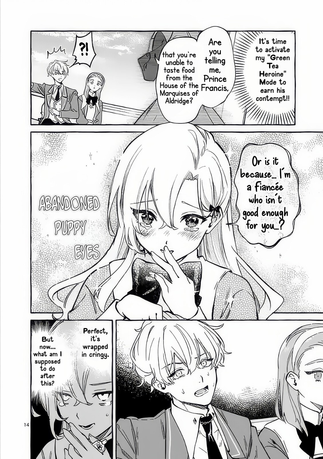 Hametsu wo Hikaeta Akuyaku Reijou ga Muri Shite Heroine wo Enjita Kekka Taida na Yosei ga Akogare Nanoni, Daini Oji no Dekiai Route ni Konwakuchu Chapter 10 page 17 - 