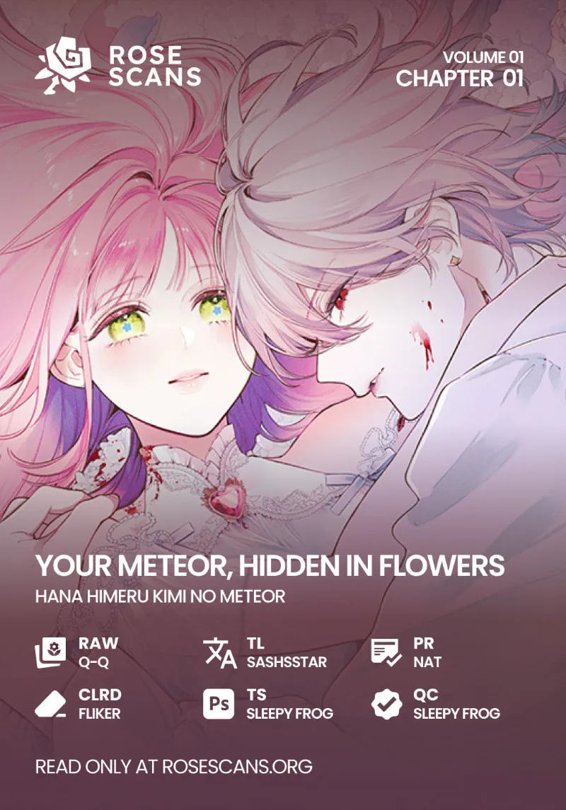 Hana Himeru Kimi no Meteor Chapter 1 page 1 - 