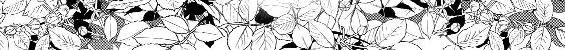 Hana Himeru Kimi no Meteor Chapter 10 page 15 - 