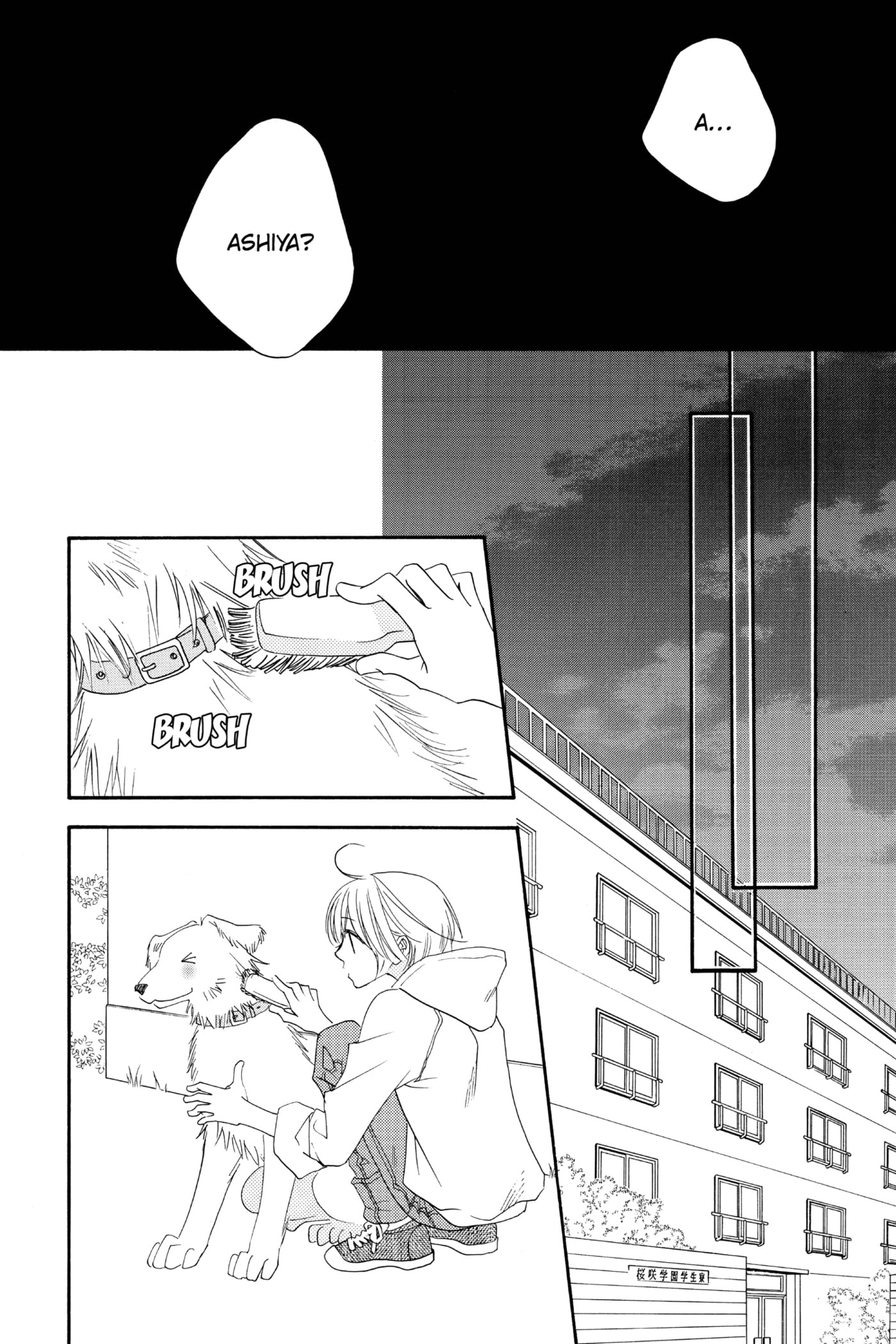 Hana-Kimi: For You in Full Blossom Chapter 129 page 19 - 