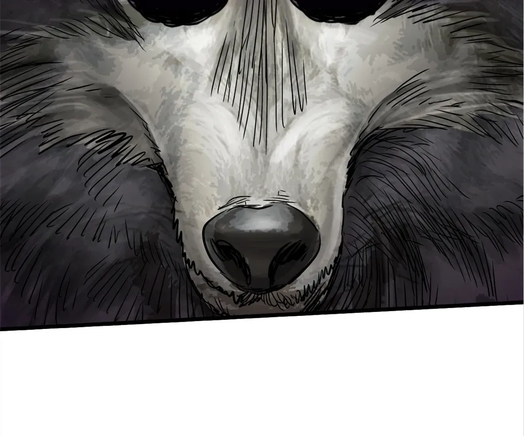 Hands of a Divine Bestower Chapter 24 page 12 - 