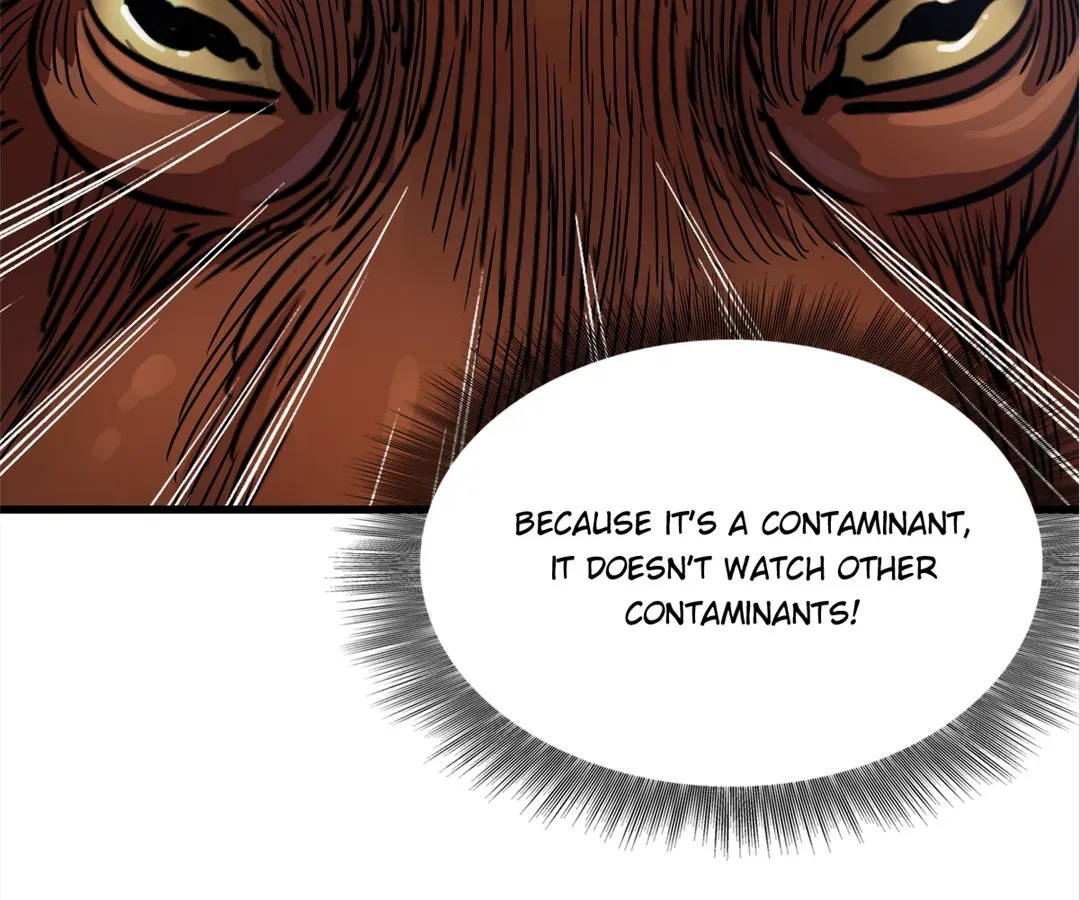 Hands of a Divine Bestower Chapter 24 page 72 - 