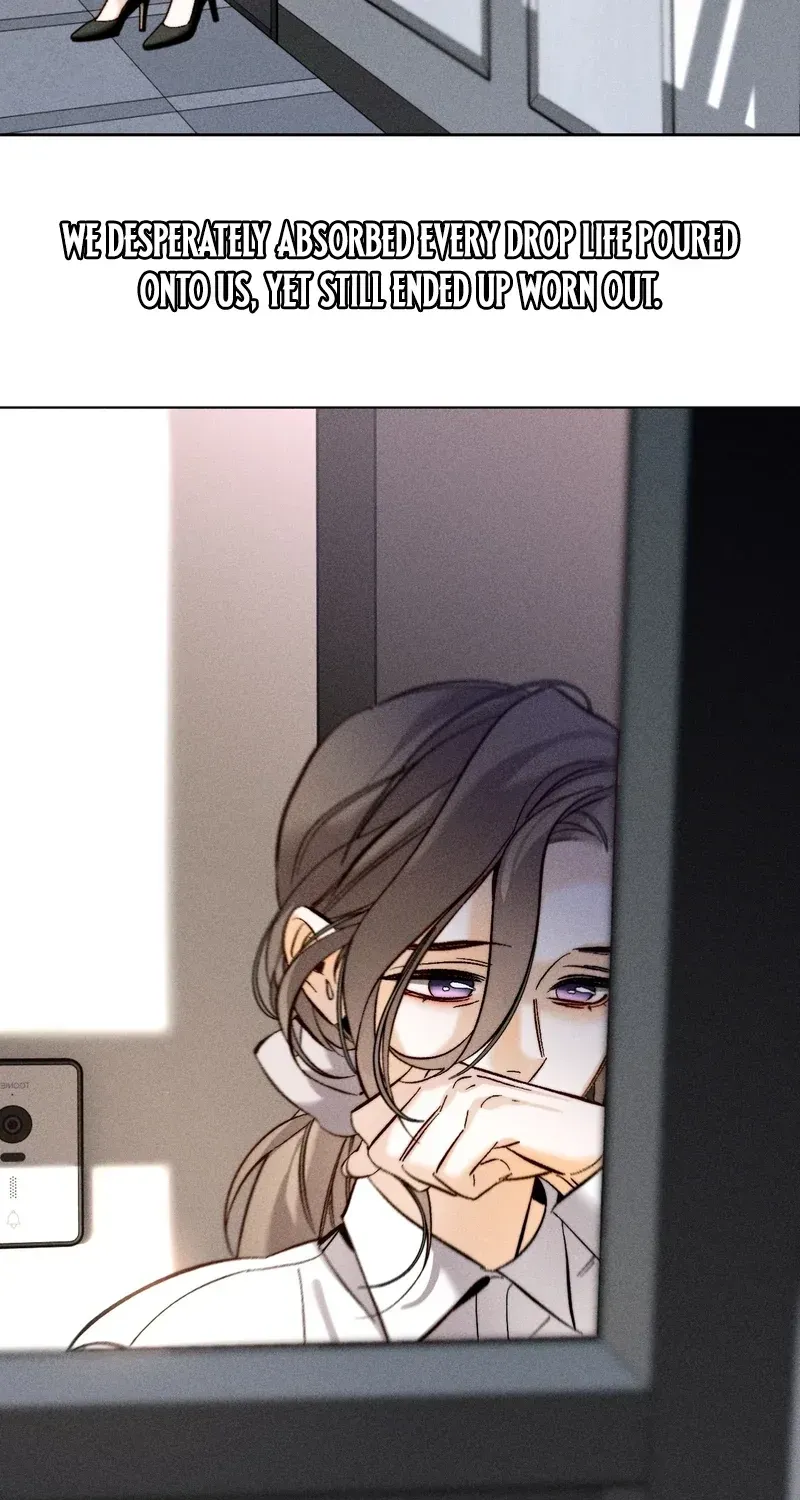 Hands Off My Cleaner! Chapter 33 page 47 - 
