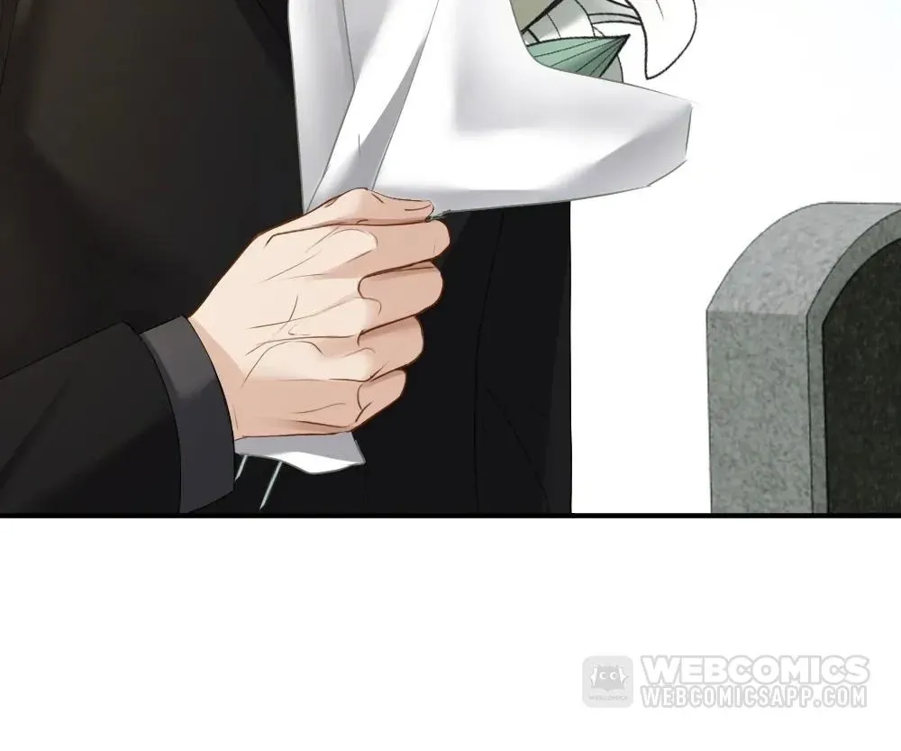 Handsome Guy Takes Over Systems Chapter 31 page 19 - 