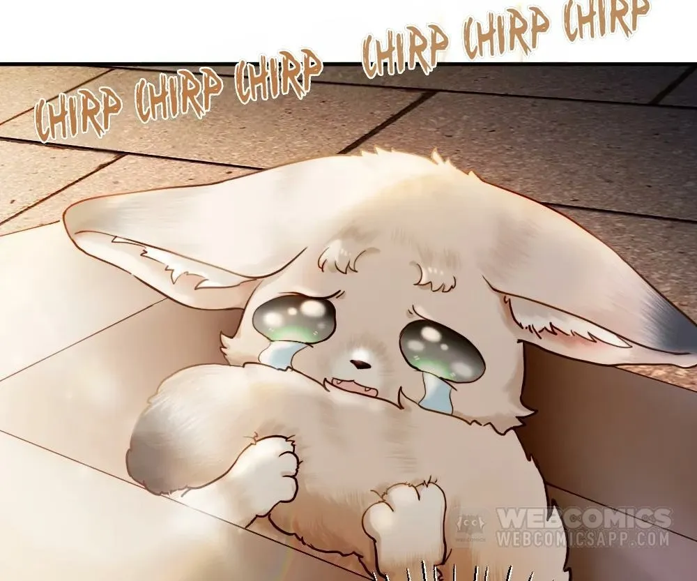 Handsome Guy Takes Over Systems Chapter 57 page 91 - 