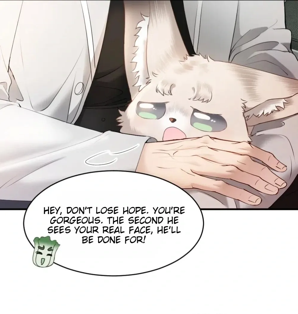 Handsome Guy Takes Over Systems Chapter 58 page 35 - 