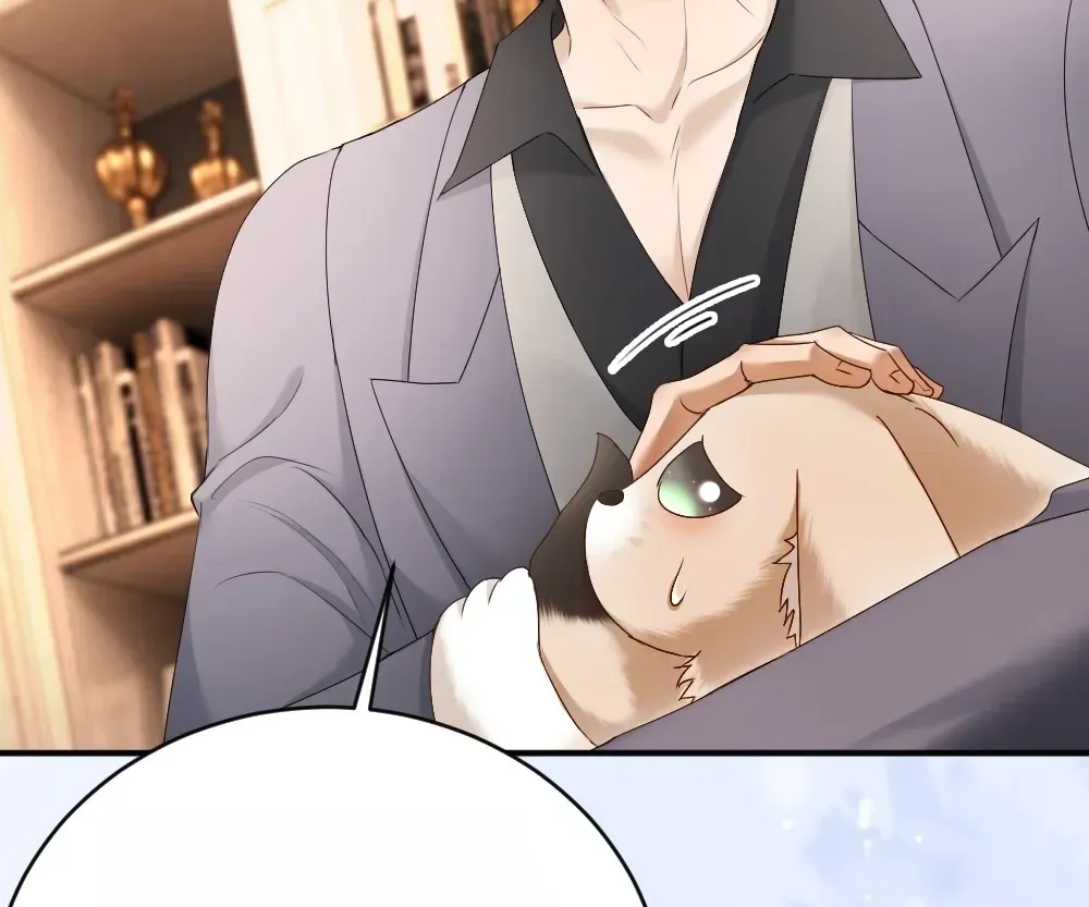 Handsome Guy Takes Over Systems Chapter 81 page 47 - 