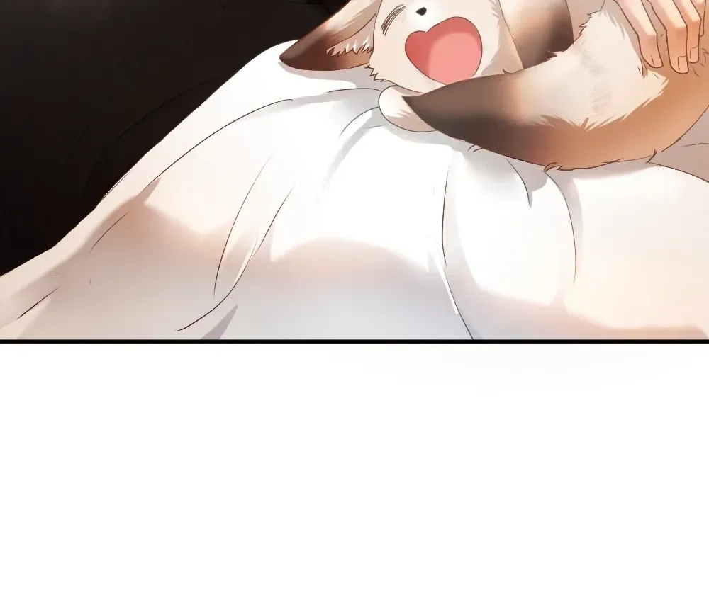 Handsome Guy Takes Over Systems Chapter 81 page 8 - 