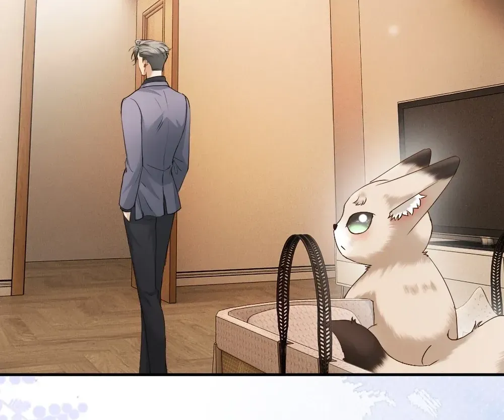 Handsome Guy Takes Over Systems Chapter 81 page 71 - 