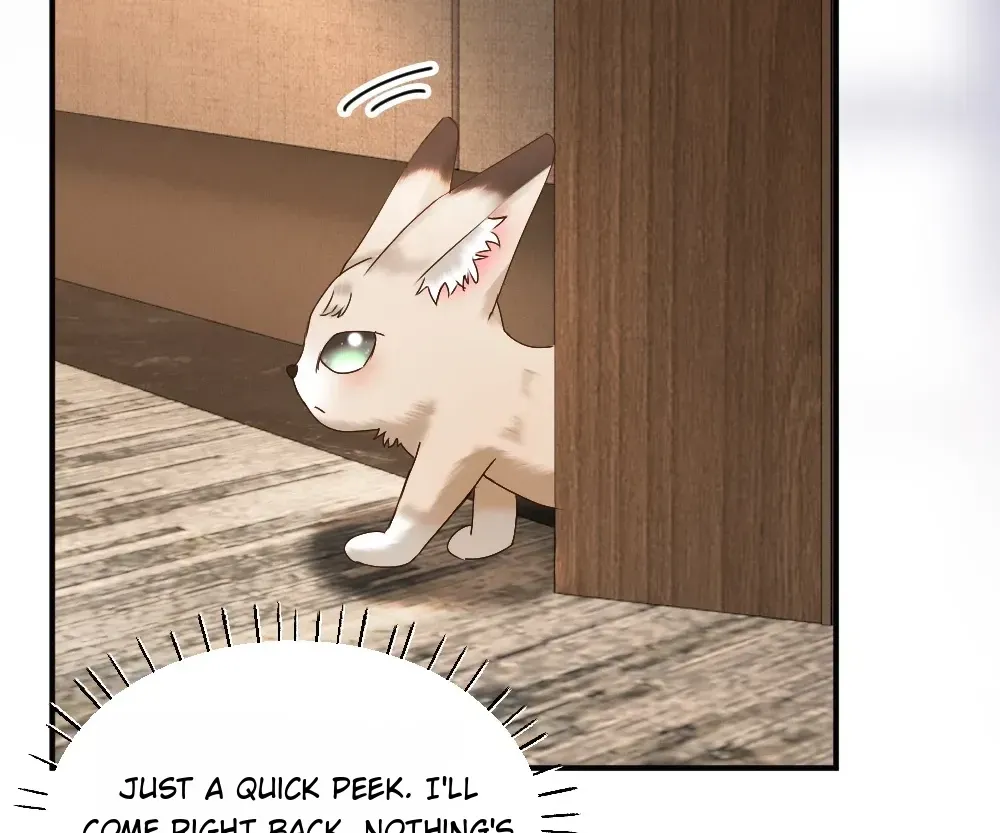 Handsome Guy Takes Over Systems Chapter 81 page 76 - 