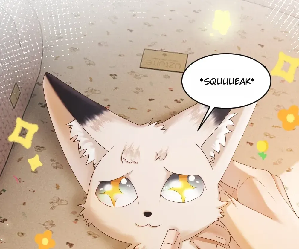 Handsome Guy Takes Over Systems Chapter 82 page 101 - 