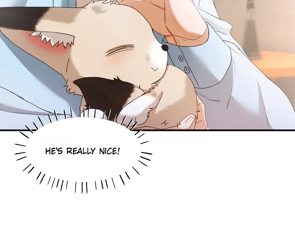 Handsome Guy Takes Over Systems Chapter 82 page 26 - 