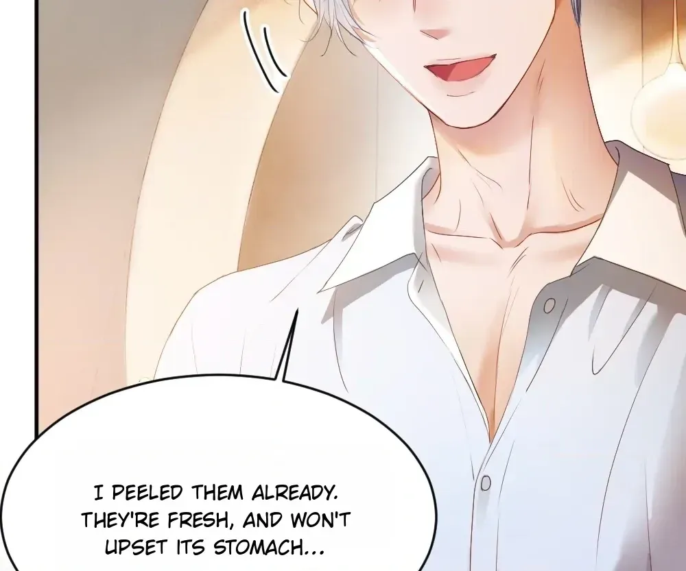 Handsome Guy Takes Over Systems Chapter 82 page 60 - 