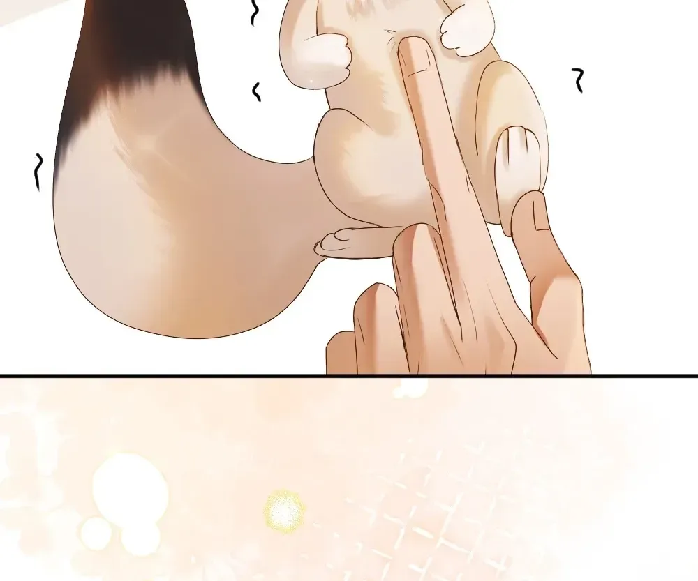 Handsome Guy Takes Over Systems Chapter 82 page 97 - 