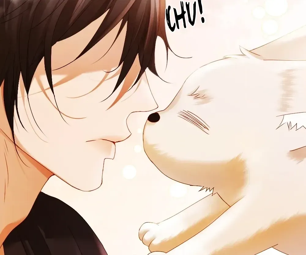 Handsome Guy Takes Over Systems Chapter 83 page 70 - 