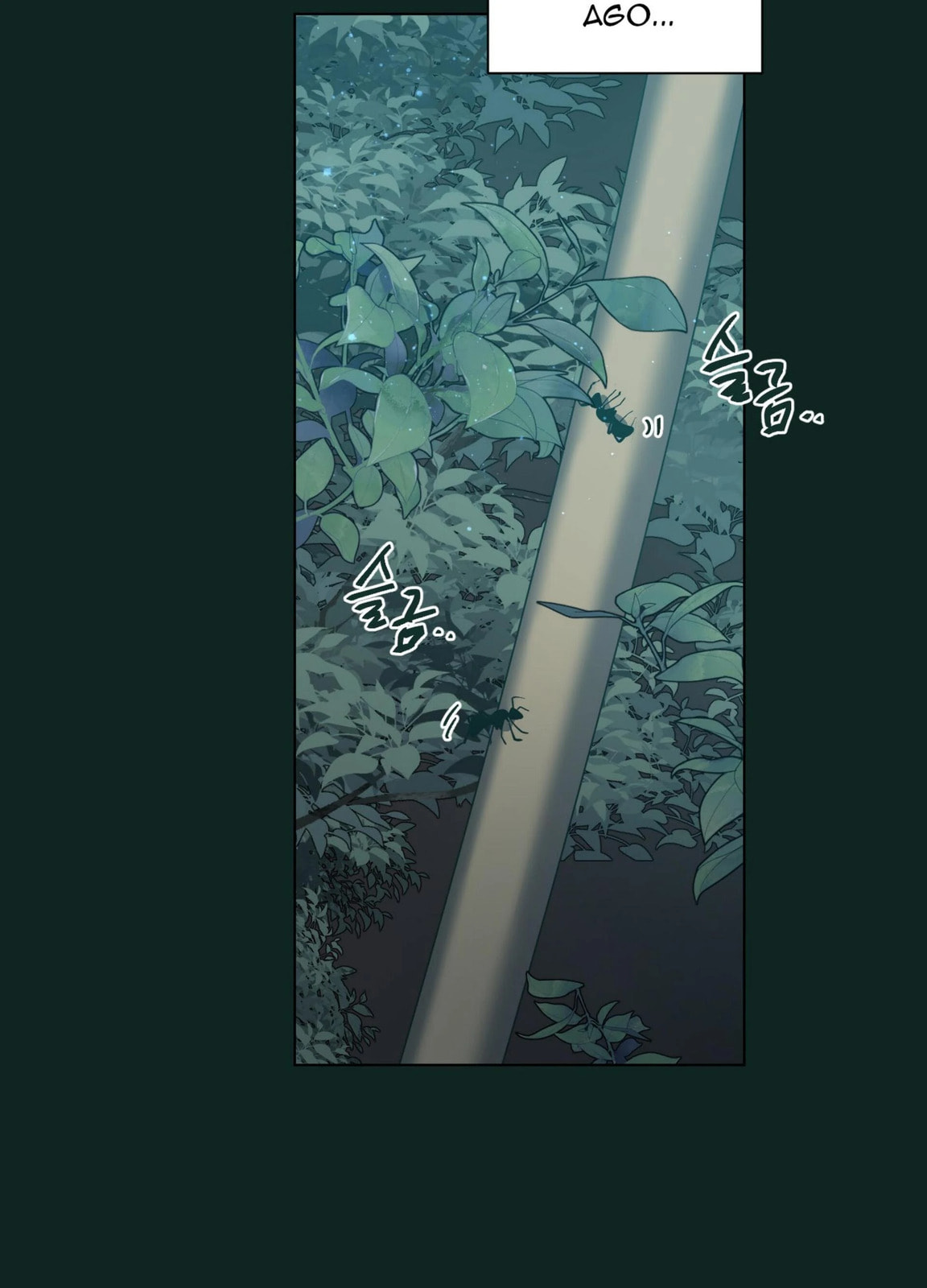 Happiness Rides a Broomstick Chapter 48 page 8 - 