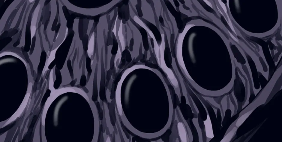 Hara of Thunder Chapter 63 page 4 - 